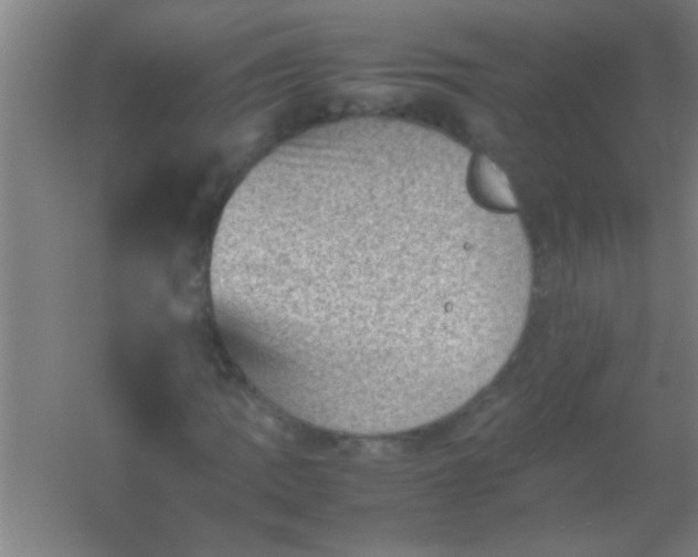 X0000054431109200508121811