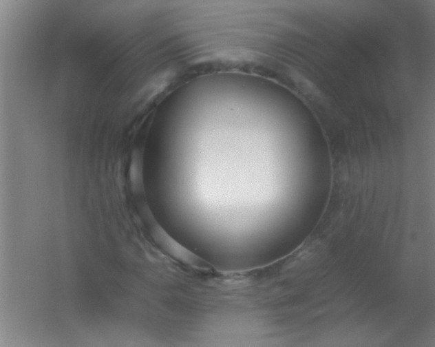 X0000054431110200508121811