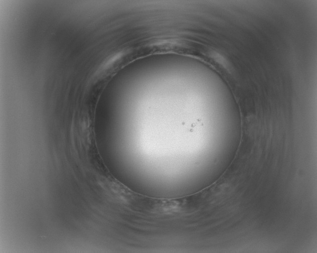 X0000054431111200508121811