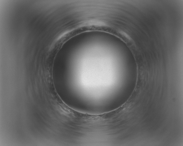 X0000054431112200508121811