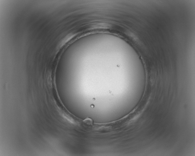 X0000054431113200508121811