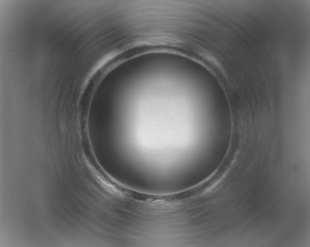 X0000054431114200508121811