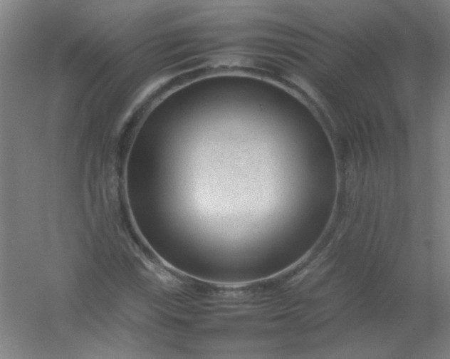 X0000054431115200508121811