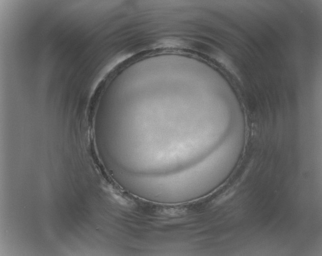 X0000054431117200508121811