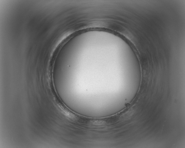 X0000054431119200508121811