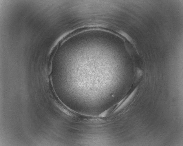 X0000054431120200508121811