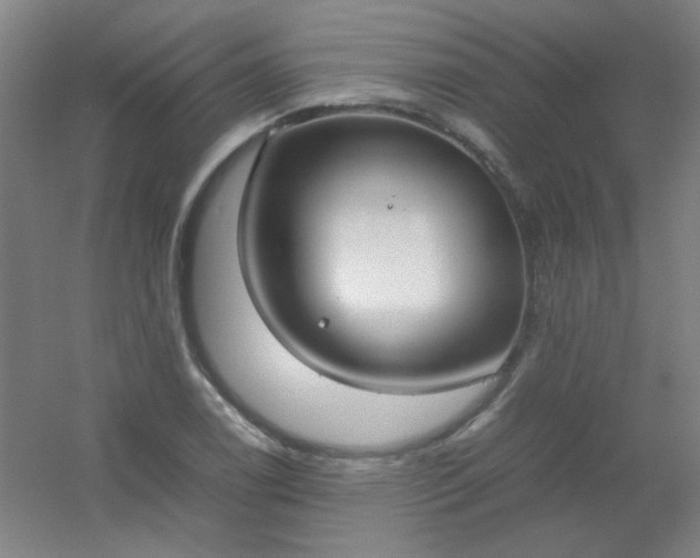 X0000054431122200508121811