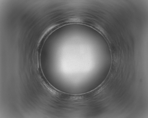 X0000054431123200508121811