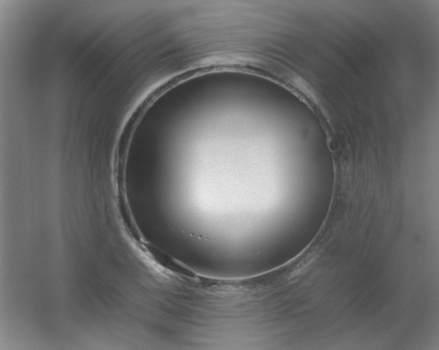 X0000054431124200508121811