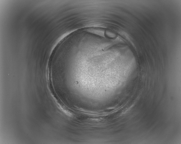 X0000054431125200508121811