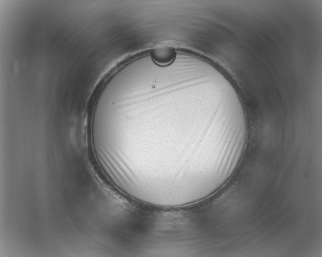 X0000054431126200508121811