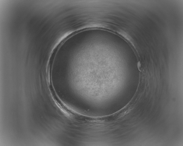 X0000054431127200508121811