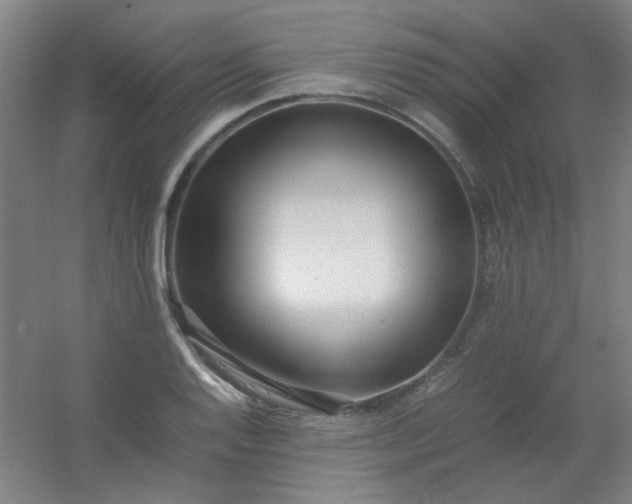 X0000054431128200508121811