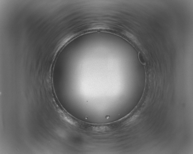 X0000054431129200508121811