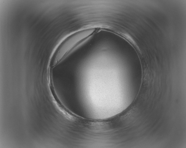 X0000054431132200508121811