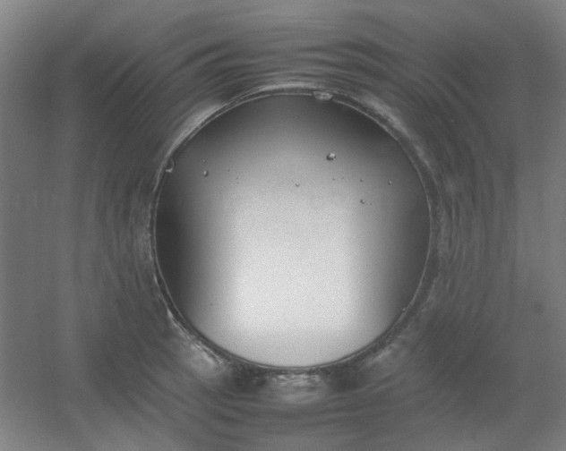 X0000054431137200508121811