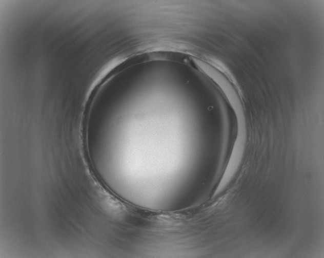 X0000054431138200508121811