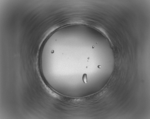 X0000054431139200508121811