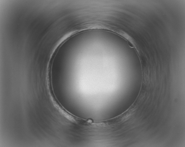 X0000054431142200508121811