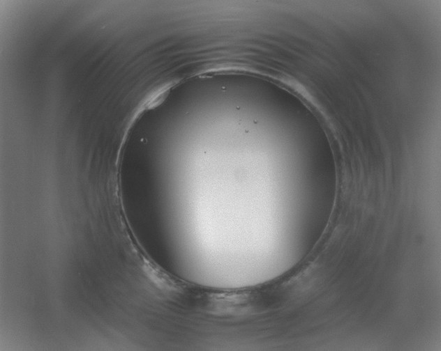 X0000054431145200508121811