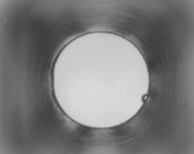 X0000054431150200508121812