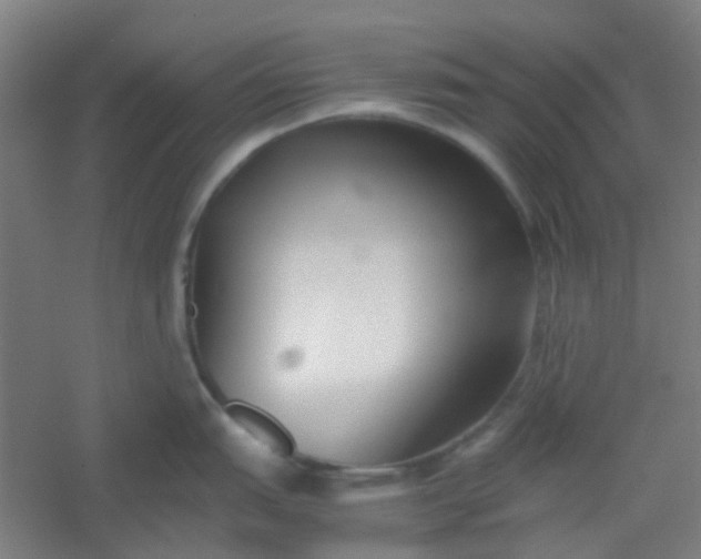 X0000054431151200508121812