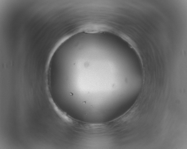 X0000054431152200508121812