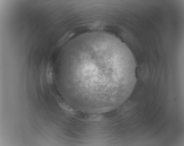 X0000054431154200508121811