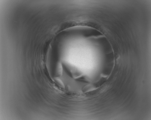 X0000054431156200508121811