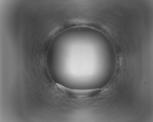 X0000054431157200508121811