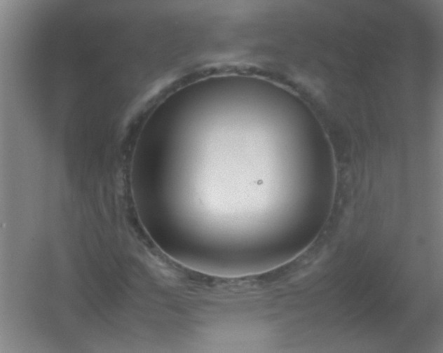 X0000054431159200508121811