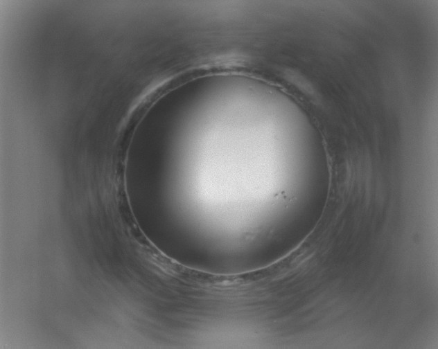 X0000054431160200508121811