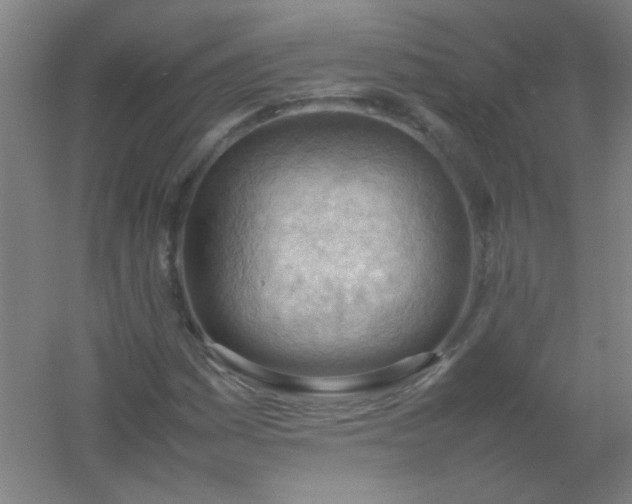 X0000054431161200508121811