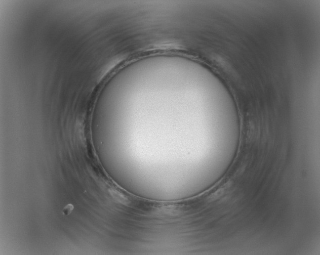 X0000054431162200508121811