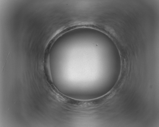 X0000054431165200508121811