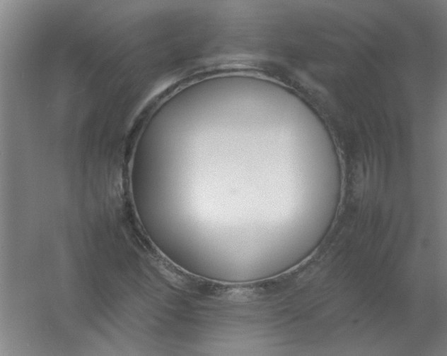 X0000054431166200508121811