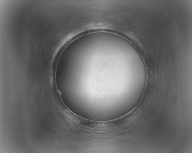 X0000054431167200508121810