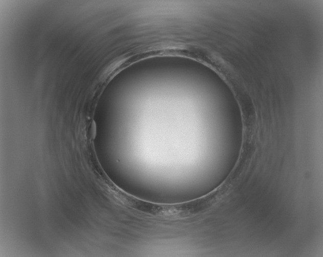 X0000054431169200508121810