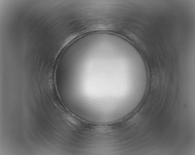 X0000054431170200508121810