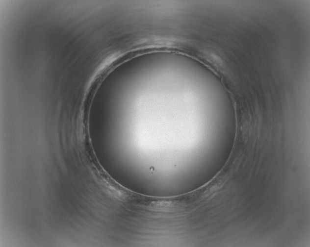 X0000054431172200508121810