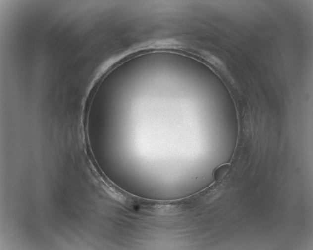 X0000054431176200508121810