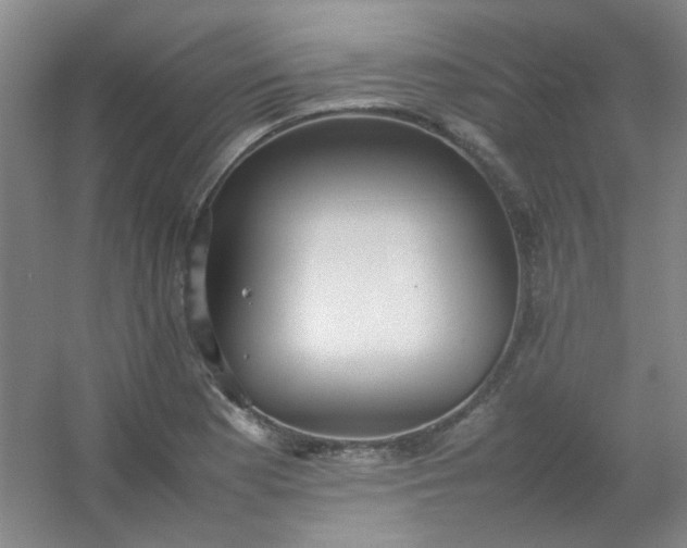 X0000054431177200508121810