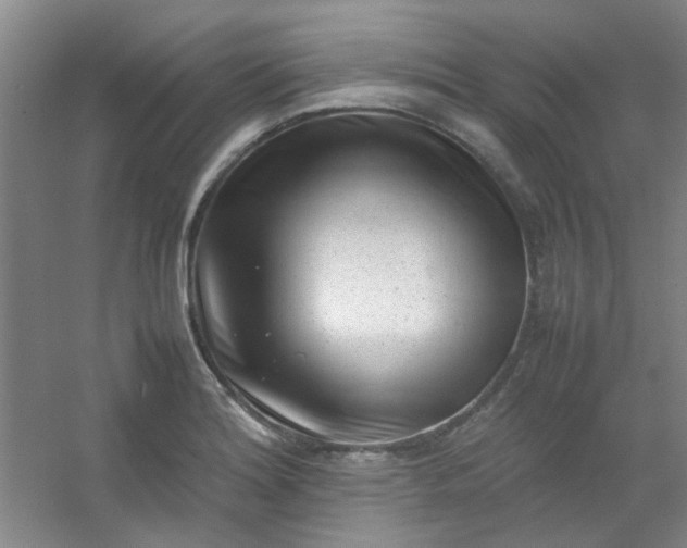 X0000054431180200508121810