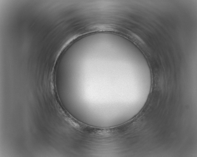 X0000054431182200508121810