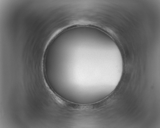 X0000054431183200508121810