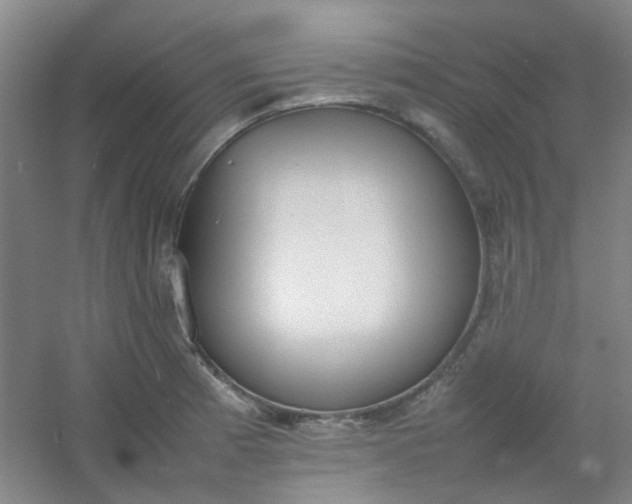 X0000054431185200508121810