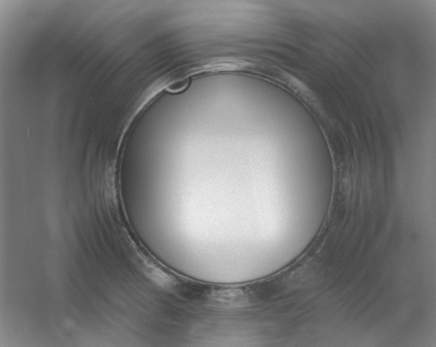 X0000054431186200508121810