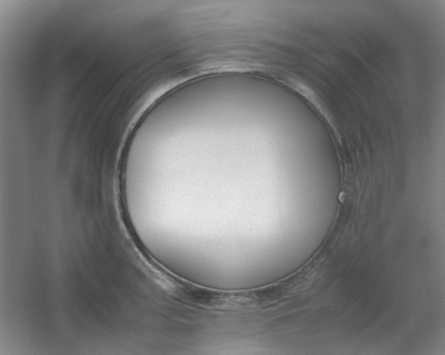 X0000054431187200508121810