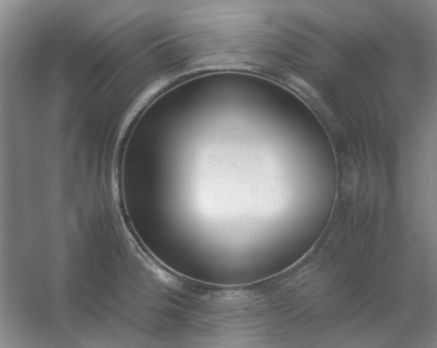 X0000054431188200508121810