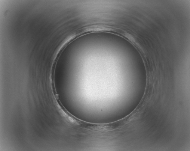 X0000054431189200508121810